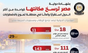 محافظة الجيزة: تعريفة ركوب السيارة بديلة التوكتوك 15 جنيهًا