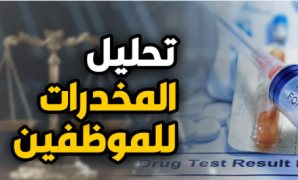 حقوقى: إعادة الانتخابات فى 70% من دوائر المرحلة الأولى يرسخ لدولة القانون