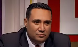 وكيل تشريعية الشيوخ يقترح إنشاء منصة وطنية موحدة للتطوع