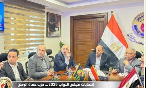 إقبال كثيف بلجان المحمودية بالبحيرة في أول ساعات التصويت في الدوائر الملغاة بمجلس النواب