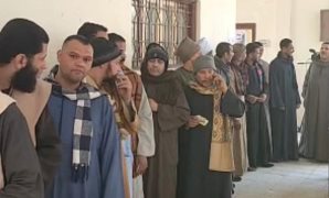 التصويت فى لجان منشأة القناطر بالجيزة فى الدوائر الملغاة بانتخابات النواب