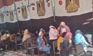 سوس: قرارت ولايتي تكساس وفلوريدا تمثل انتصارًا للحقيقة ولمنهج الدولة المصرية في كشف هذه التنظيمات