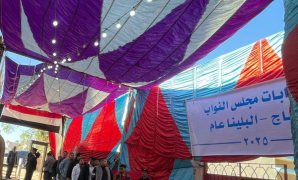 الانتخابات 