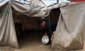 النقض تحافظ على الرقعة الزراعية.. تأييد حبس سنة لموظفين بوحدة محلية زوروا محضر معاينة.. المتهمون أثبتوا فى المحضر أن الأرض محل الترخيص داخل الحيز العمرانى رغم كونها خارج الحيز المعتمد وتعد أرضًا زراعية