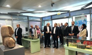 مصر وروسيا تؤكدان على ضرورة وقف الحرب فى غزة ومنع التصعيد بالمنطقة