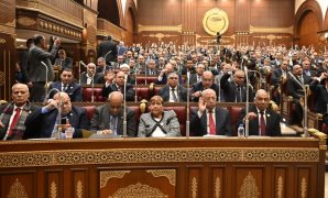 وكيل "الشيوخ": حماية الكهرباء جزء من الأمن القومي للدولة 