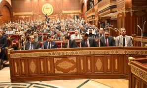 "الشيوخ" يناقش تعديل قانون نقابة المهن الرياضية لتعزيز التنظيم المهنى والجامعى