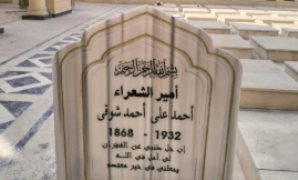 الجندي لوزير الخارجية: الدبلوماسية المصرية حائط الصد للدفاع عن الدولة وتلعب دورا محوريا بحقوق الإنسان