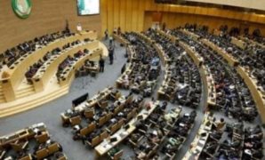 حزب المؤتمر: الدولة المصرية لم تتخلَّ يومًا عن مسئولياتها تجاه القضية الفلسطينية