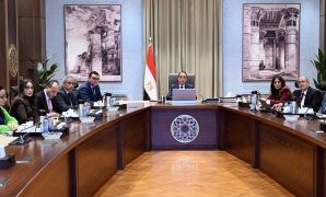 مجلس الوزراء يوافق على تخصيص عدد من قطع الأراضي بنظام البيع بالدولار الأمريكي من خارج البلاد