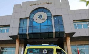 أبو حتة يهنئ القيادة السياسية والمصريين بالعام الجديد: 2026 عام استكمال البناء وتعزيز الاستقرار