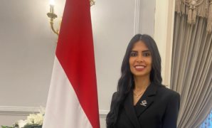 النائبة ضحى عاصى: سأتقدم بتعديلات على قانون الإيجار القديم