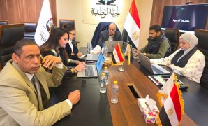 استغاثة برلمانية لوقف قرار الكهرباء بإلغاء صافى القياس لمشروعات الطاقة الشمسية