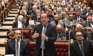 النائب حسن عمار: أزمة المصانع المتعثرة في بورسعيد تستلزم إجراءات عاجلة لعودتها إلى دورة الإنتاج 