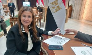 النائب هشام الحسيني ربيع: التنسيق المصري السعودي ركيزة أساسية لاستقرار المنطقة