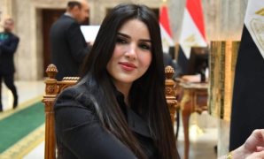 النائبة ريهام أبو الحسن: التعليم والصحة أولوياتى تحت قبة المجلس الجديد