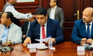 النائب محمد أبو النصر: لقاء الرئيس بممثلة الاتحاد الأوروبي يعكس مكانة مصر ودورها المحوري في دعم الأمن والاستقرار