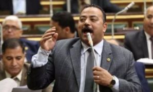 النائب محمد الوحش يؤدى اليمين الدستورية في أولى جلسات النواب 2026