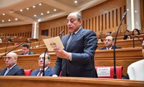 الفريق محمد عباس حلمى رئيس حزب حماة وطن