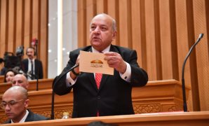 النائب محمد الوحش