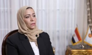 مجلس النواب يواصل نشاطه.. تشريعات داعمة للطاقة واتفاقيات لتعزيز الاقتصاد