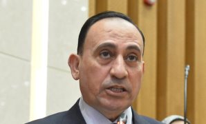 عمرو الشلمة: المرحلة الثانية بادرة أمل لأهل غزة.. ومصر مهدت لها بحكمة بالغة