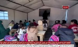 نقطة تحول فى مسار التهدئة.. النائبة مروة بوريص تشيد بدور مصر فى إنجاح المرحلة الثانية