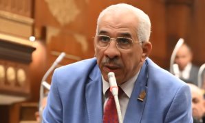 حازم الجندى: قرار تيسير صرف الألبان المدعمة للتوائم يعكس قوة الفن