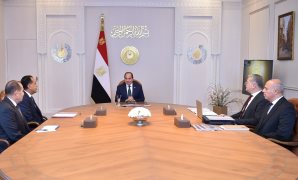 وكيل «خارجية الشيوخ»: الدور المصرى فى غزة يؤكد ريادة مصر ويُمهّد لإعادة الإعمار