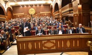 وكيل دينية النواب: جهود الرئيس السيسى مستمرة لدعم القضية الفلسطينية