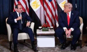 النائب أحمد الوليد: كلمة الرئيس فى دافوس ترسّخ دور مصر كركيزة للاستقرار فى المنطقة