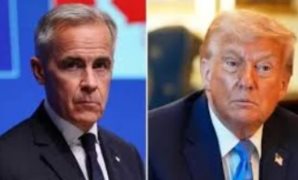 فريد من نوعه.. حكم قضائى يلزم "أب" بتعويض يُقدر بـ50 ألف جنيه مادى وأدبى.. والسبب نكوله ورفضه عن تسجيل ابنته واستخراج شهادة ميلاد لها.. الواقعة تسببت في تأخير "الصغيرة" في الإلتحاق بالتعليم لمدة عام