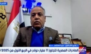 خبير: تجاوز صادرات مصر 11 مليار دولار بالربع الأول رقم تاريخى
