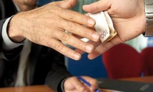 بالقانون.. مجلس مختص لمراقبة عمليات الدم تعرف على اختصاصاته