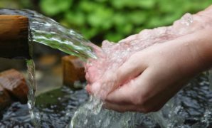 رئيس لجنة انتخابات الوفد: إشراف النيابة الإدارية ضمانة للنزاهة