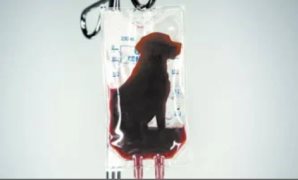 النائب محمد عبده: رصد الشائعات وتفنيدها ضرورة لحماية الوعى العام والمجتمع من التضليل