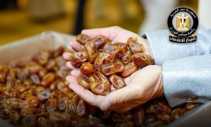 الرئيس السيسى: الالتحاق بالوظائف الحكومية يتعين أن يكون وفقًا لمعايير موضوعية حيادية مجردة