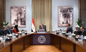 انتفاضة برلمانية تحت قبة «الشيوخ» لحماية النشء من مخاطر «السوشيال ميديا».. مطالب بتشريعات حازمة لمواجهة حروب الجيل الخامس.. ونواب: نواجه فوضى إلكترونية تهدد الهوية والأمن القومي