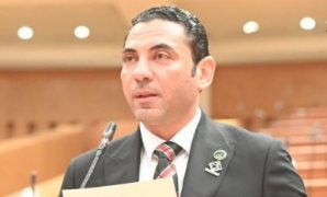 النائب محمد فؤاد زغلول: قرار "الأعلى للإعلام" بحجب "روبلوكس" في مصر سليم يعكس تعزيز الوعي الرقمي وحماية النشء 