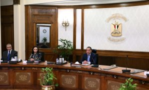 اليوم.. الرئيس السيسى يستقبل رئيس جمهورية الصومال الفيدرالية الشقيقة