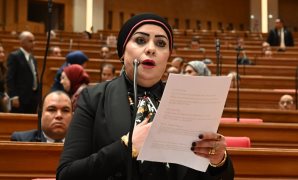 طلب إحاطة بالبرلمان بشأن منظومة إدارة المخلفات والنظافة بمركز الصف فى الجيزة