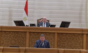 إنطلاق جلسة "النواب" لمناقشة تعديلات تشريعية على سجل المستوردين