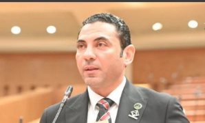 أيمن محسب: تقدير ترامب للدور المصرى فى ملف غزة يعكس مكانتها الاستراتيجية