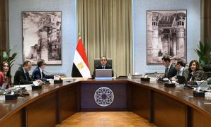 وزير المالية أمام النواب : العقارات حتي القيمة السوقية 8 ملايين جنيه لن تخضع للضريبة  