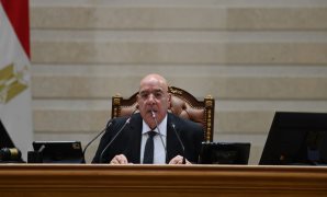 برلمانى: مسلسل "صحاب الأرض" يعكس دعم مصر للقضية الفلسطينية