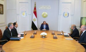 قيادي بـ"حماة الوطن": القيادة الحكيمة للرئيس صنعت درع الأمان لمصر وسط نيران الإقليم