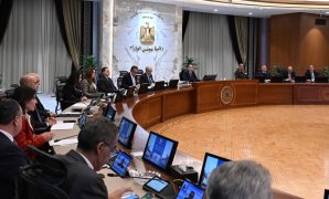 قيادي بـ"حماة الوطن": القيادة الحكيمة للرئيس صنعت درع الأمان لمصر وسط نيران الإقليم