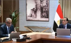 عضو بخارجية النواب: أمن وسلامة المصريين بالخارج يمثل أولوية قصوى للدولة المصرية