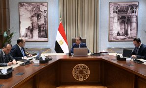 معلومات الوزراء: "ستاندرد آند بورز" تشيد بتحسن آفاق النمو الاقتصادي في مصر