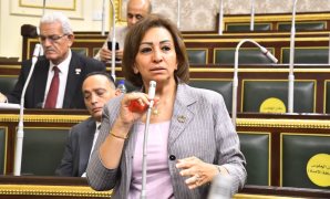 النائبة مها عبد الناصر - عضو مجلس النواب